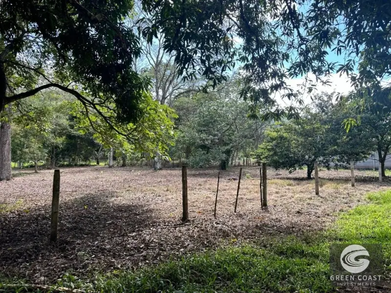 Prime Flat Lot Near Downtown Atenas – Build Your Dream Home with Pool in Costa Rica's Best Climate — view 2, Atenas, Atenas, Costa Rica