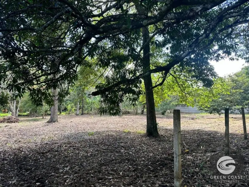 Prime Flat Lot Near Downtown Atenas – Build Your Dream Home with Pool in Costa Rica's Best Climate — view 3, Atenas, Atenas, Costa Rica