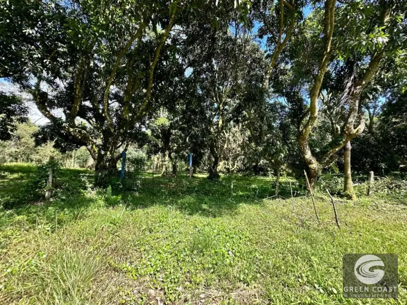Prime Flat Lot Near Downtown Atenas – Build Your Dream Home with Pool in Costa Rica's Best Climate — view 5, Atenas, Atenas, Costa Rica