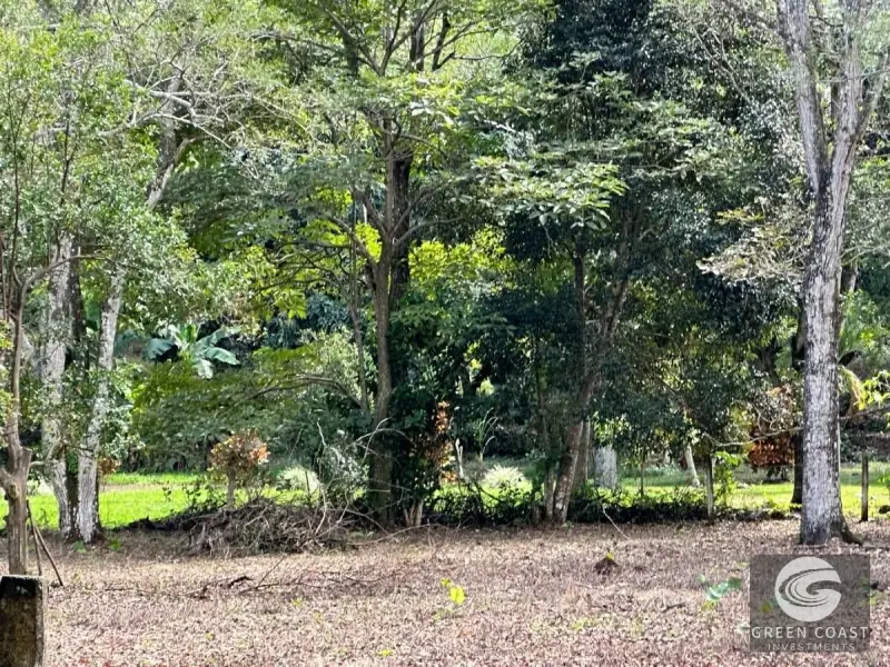 Prime Flat Lot Near Downtown Atenas – Build Your Dream Home with Pool in Costa Rica's Best Climate — view 6, Atenas, Atenas, Costa Rica