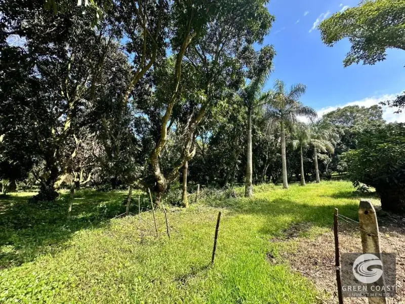 Prime Flat Lot Near Downtown Atenas – Build Your Dream Home with Pool in Costa Rica's Best Climate — view 8, Atenas, Atenas, Costa Rica