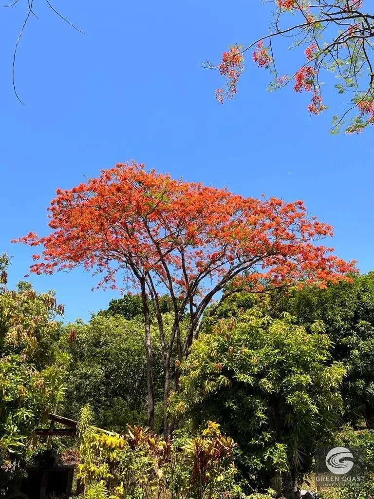 3-BR Estate on 2.4 Acres with Development Potential Near Jaco — view 5, San Juan de Mata, Turrubares, Costa Rica