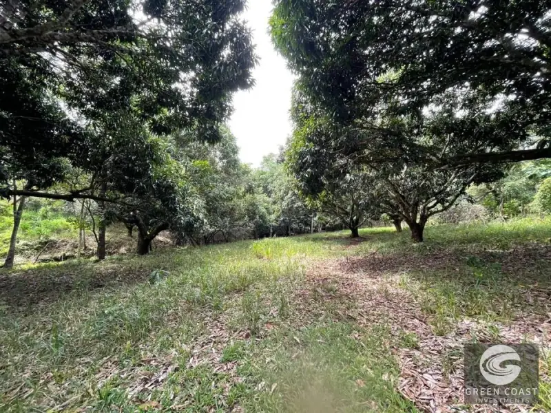 3-BR Estate on 2.4 Acres with Development Potential Near Jaco — view 11, San Juan de Mata, Turrubares, Costa Rica