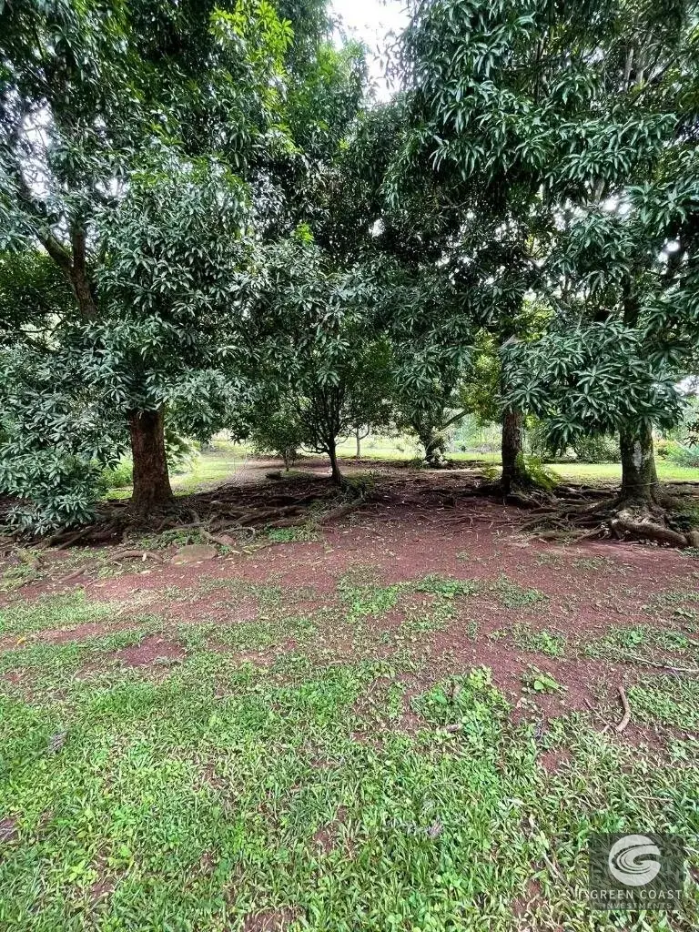 3-BR Estate on 2.4 Acres with Development Potential Near Jaco — view 12, San Juan de Mata, Turrubares, Costa Rica