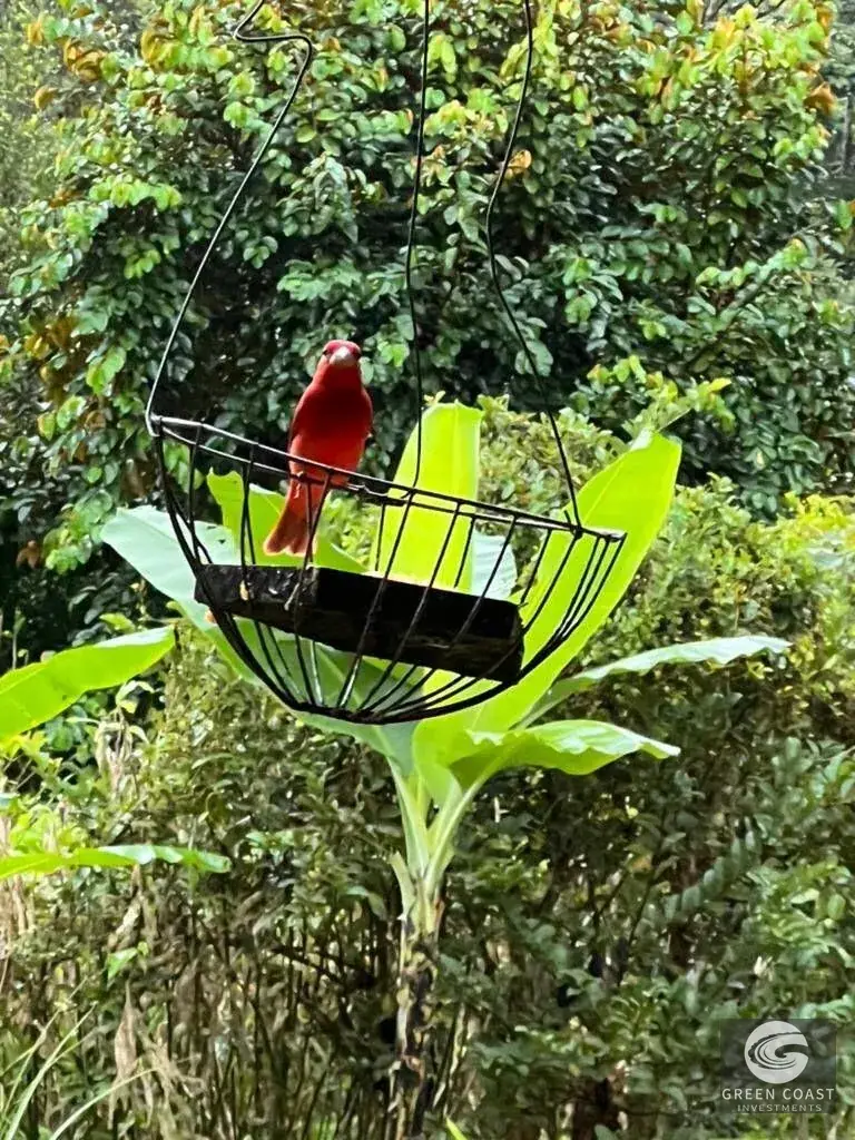 3-BR Estate on 2.4 Acres with Development Potential Near Jaco — view 14, San Juan de Mata, Turrubares, Costa Rica