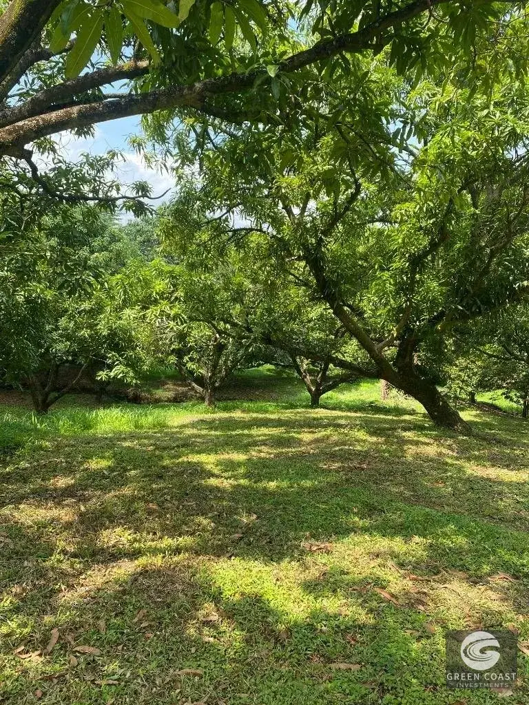 3-Bed Jungle Compound on 3.8-Hectare Mango Farm with Panoramic Mountain Views — view 10, San Juan de Mata, Turrubares, Costa Rica
