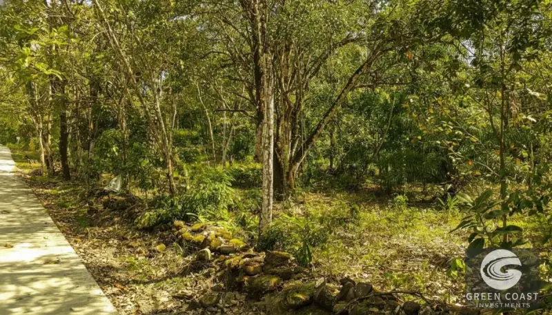 Prime 9,240m² San Mateo Development Land with River Boundary and Panoramic Views near Route 27 — view 1, San Mateo, San Mateo, Costa Rica