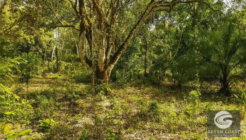 Prime 9,240m² San Mateo Development Land with River Boundary and Panoramic Views near Route 27 — view 2, San Mateo, San Mateo, Costa Rica
