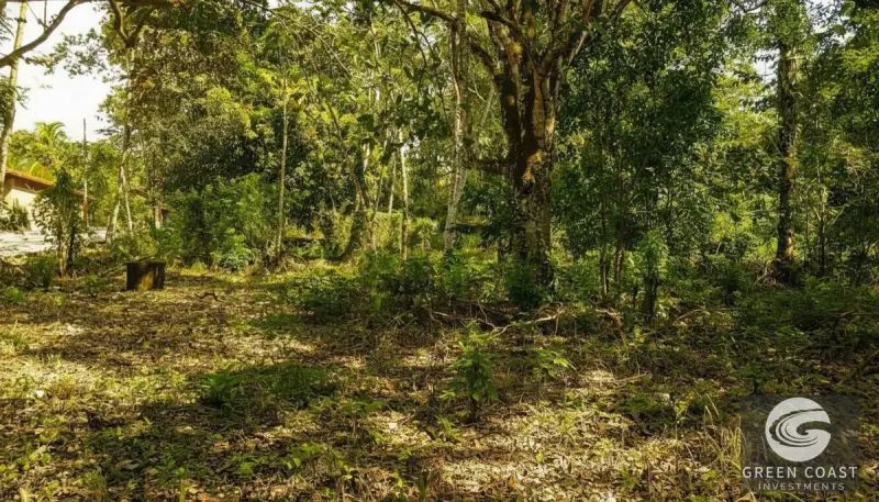 Prime 9,240m² San Mateo Development Land with River Boundary and Panoramic Views near Route 27 — view 3, San Mateo, San Mateo, Costa Rica