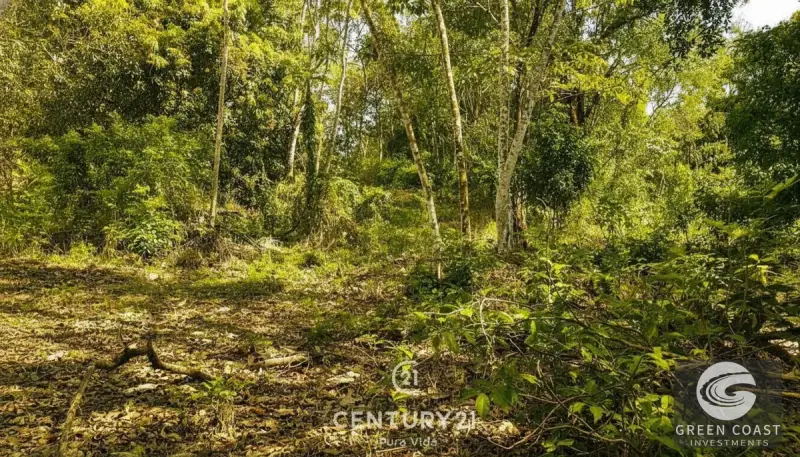 Prime 9,240m² San Mateo Development Land with River Boundary and Panoramic Views near Route 27 — view 5, San Mateo, San Mateo, Costa Rica