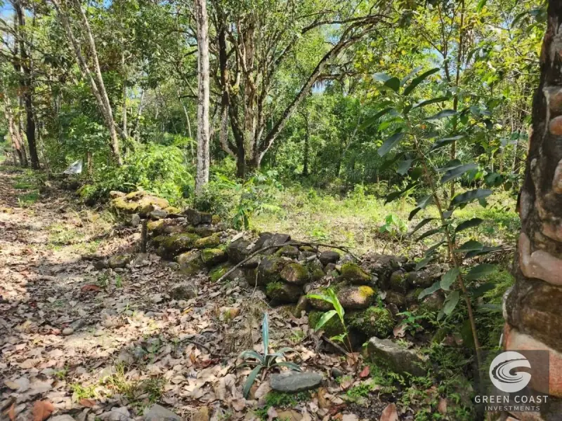 Prime 9,240m² San Mateo Development Land with River Boundary and Panoramic Views near Route 27 — view 8, San Mateo, San Mateo, Costa Rica