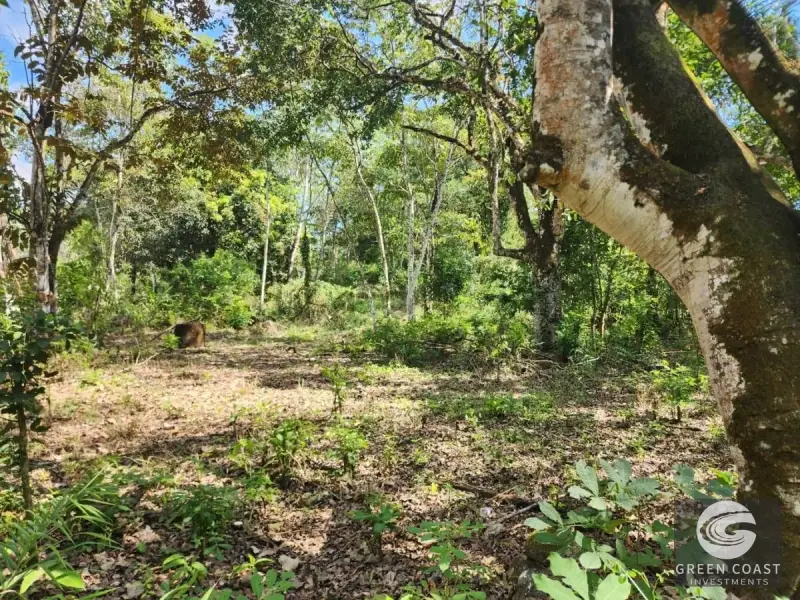 Prime 9,240m² San Mateo Development Land with River Boundary and Panoramic Views near Route 27 — view 9, San Mateo, San Mateo, Costa Rica