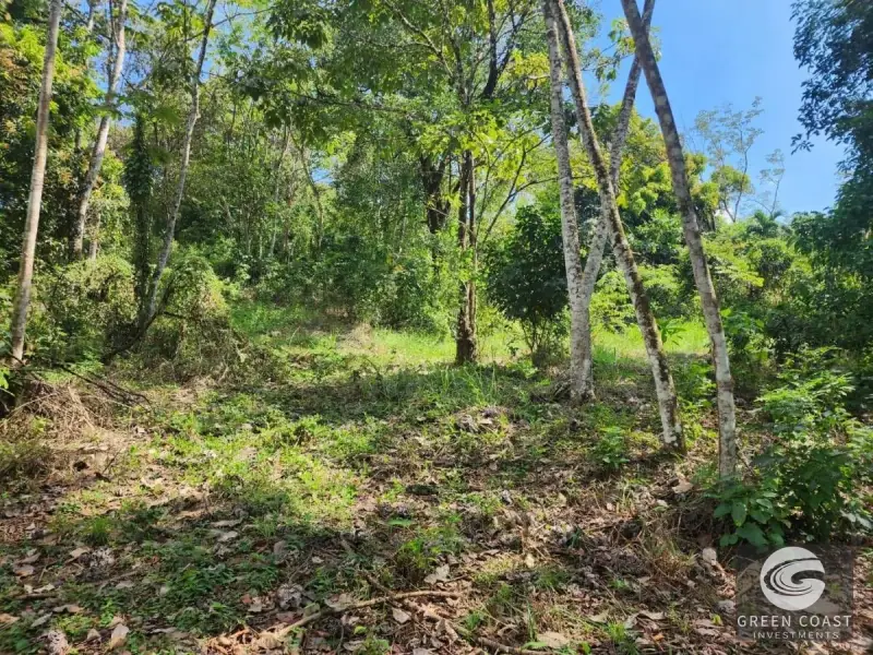 Prime 9,240m² San Mateo Development Land with River Boundary and Panoramic Views near Route 27 — view 10, San Mateo, San Mateo, Costa Rica