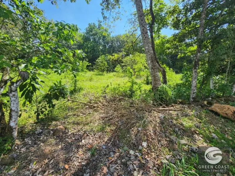 Prime 9,240m² San Mateo Development Land with River Boundary and Panoramic Views near Route 27 — view 12, San Mateo, San Mateo, Costa Rica