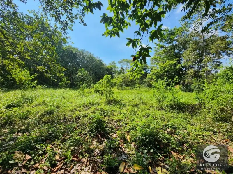 Prime 9,240m² San Mateo Development Land with River Boundary and Panoramic Views near Route 27 — view 14, San Mateo, San Mateo, Costa Rica