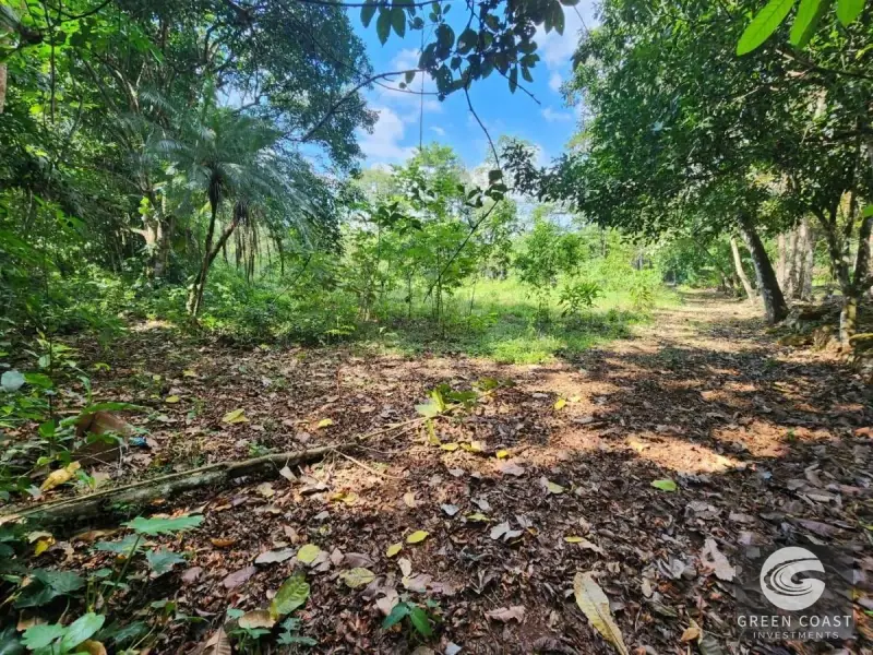 Prime 9,240m² San Mateo Development Land with River Boundary and Panoramic Views near Route 27 — view 15, San Mateo, San Mateo, Costa Rica