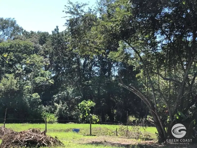 1.6-Acre Eco-Luxe Building Lot Near Esterillos Beach with Private Lake and Lush Countryside Views — view 4, Parrita, Costa Rica