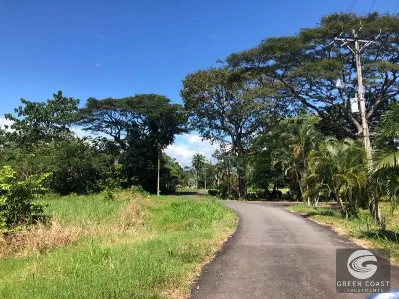 1.6-Acre Eco-Luxe Building Lot Near Esterillos Beach with Private Lake and Lush Countryside Views — view 8, Parrita, Costa Rica