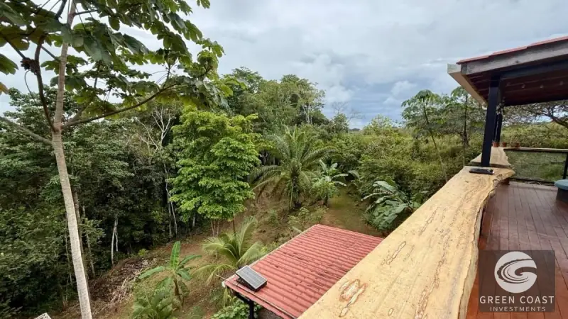 Eco-Homestead with Food Forest & Spring Water in Puriscal — view 8, Chires, Puriscal, Costa Rica