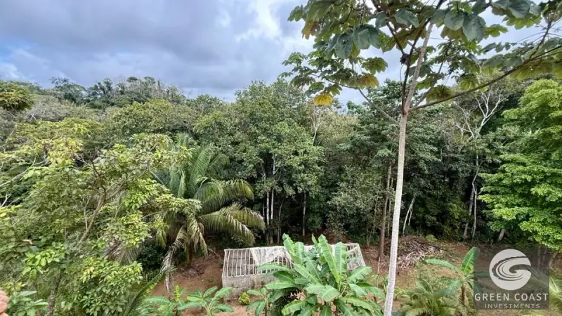 Eco-Homestead with Food Forest & Spring Water in Puriscal — view 9, Chires, Puriscal, Costa Rica