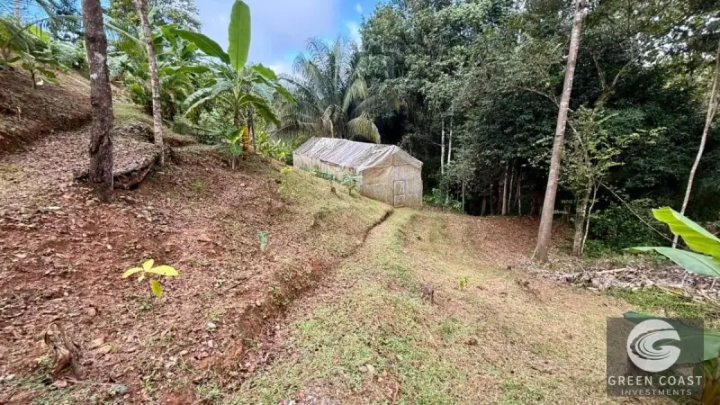 Eco-Homestead with Food Forest & Spring Water in Puriscal — view 10, Chires, Puriscal, Costa Rica