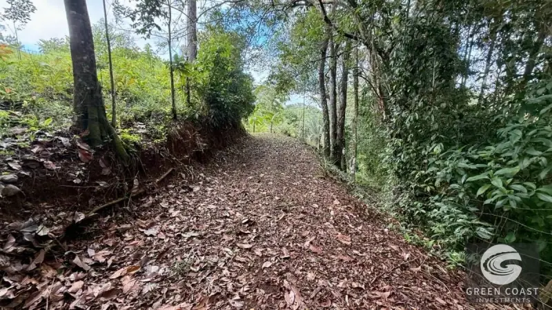 Eco-Homestead with Food Forest & Spring Water in Puriscal — view 12, Chires, Puriscal, Costa Rica
