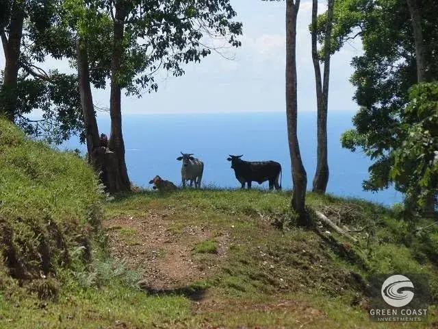 Prime Sustainable Development Farm with Panoramic Ocean and Forest Views in Golfito — view 1, Golfito, Golfito, Costa Rica