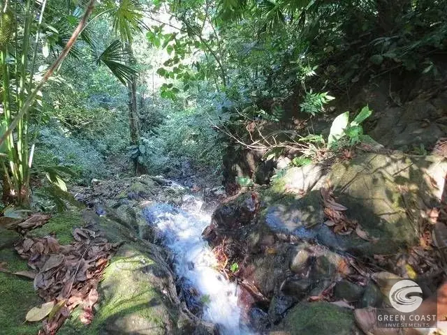 Prime Sustainable Development Farm with Panoramic Ocean and Forest Views in Golfito — view 2, Golfito, Golfito, Costa Rica