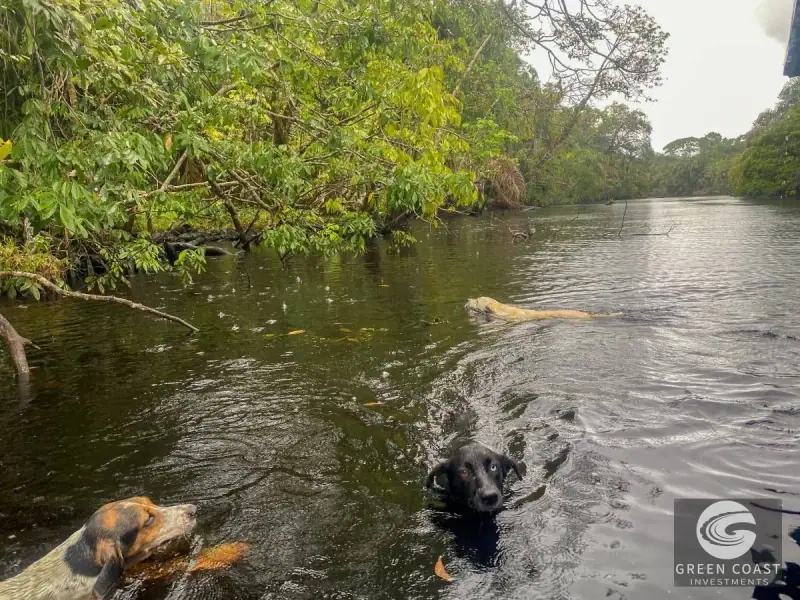 11-Ha Eco-Luxury Hotel Development Site in Tortuguero with Beach & Canal Frontage — view 14, Colorado, Pococí, Costa Rica