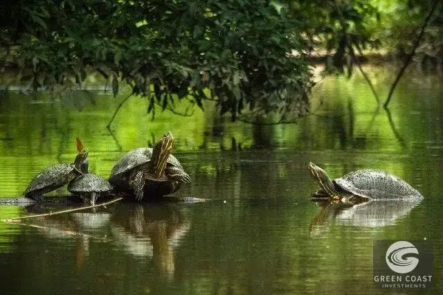 11-Ha Eco-Luxury Hotel Development Site in Tortuguero with Beach & Canal Frontage — view 15, Colorado, Pococí, Costa Rica