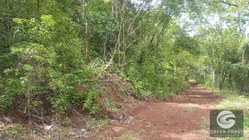 La propiedad de Samara