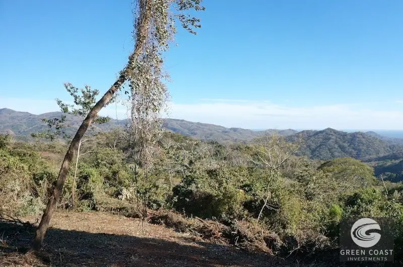 La propiedad de Samara