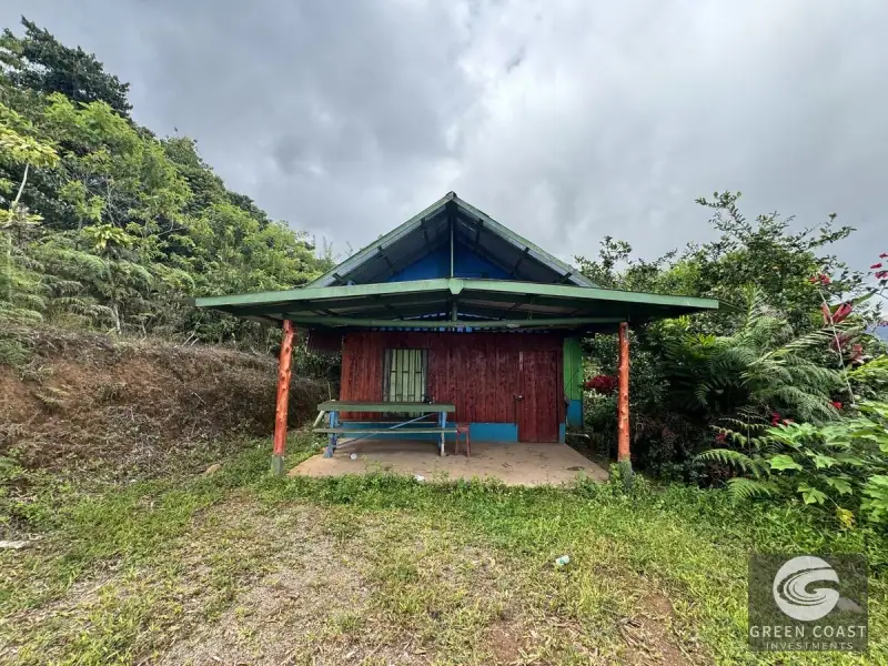 Chirripó View Mountain Farm: 3 Acres with Cabins & Coffee in Rivas — view 3, Rivas, Pérez Zeledón, Costa Rica