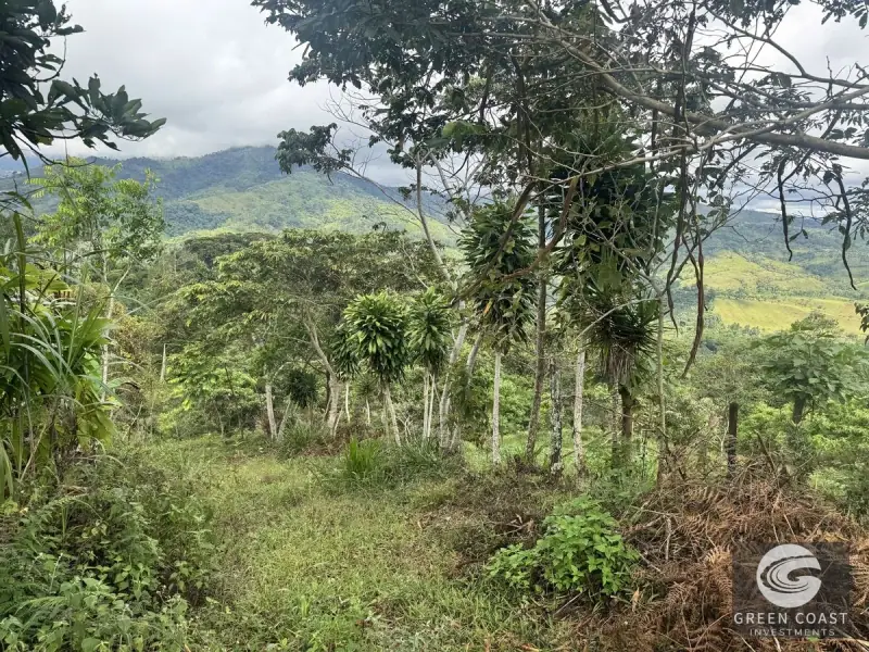 Chirripó View Mountain Farm: 3 Acres with Cabins & Coffee in Rivas — view 5, Rivas, Pérez Zeledón, Costa Rica