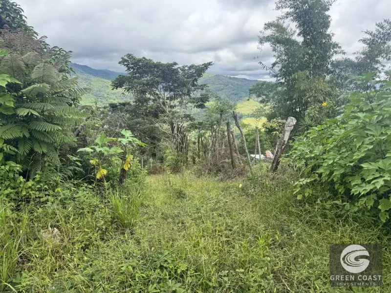 Chirripó View Mountain Farm: 3 Acres with Cabins & Coffee in Rivas — view 6, Rivas, Pérez Zeledón, Costa Rica