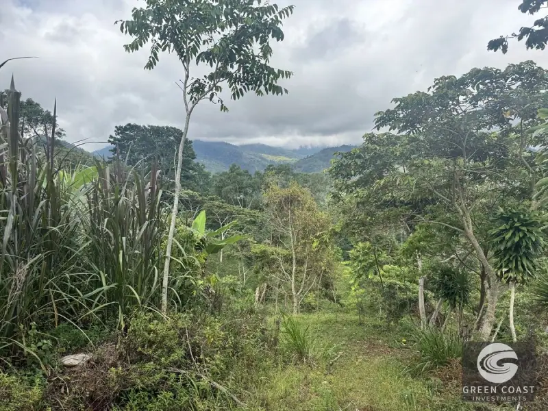 Chirripó View Mountain Farm: 3 Acres with Cabins & Coffee in Rivas — view 7, Rivas, Pérez Zeledón, Costa Rica