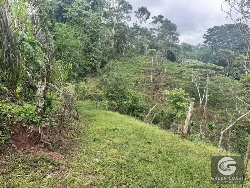 Chirripó View Mountain Farm: 3 Acres with Cabins & Coffee in Rivas — view 8, Rivas, Pérez Zeledón, Costa Rica