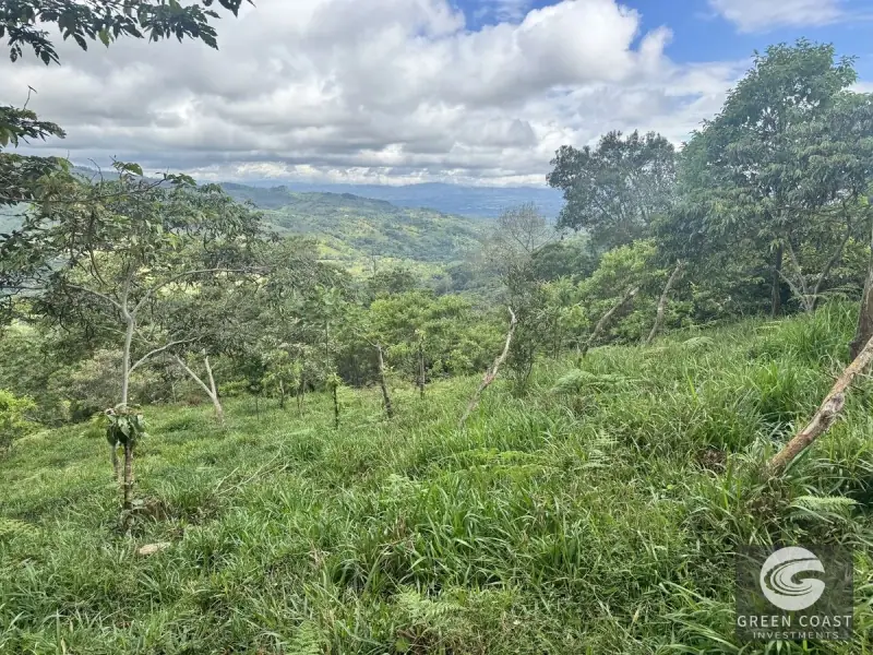 Chirripó View Mountain Farm: 3 Acres with Cabins & Coffee in Rivas — view 9, Rivas, Pérez Zeledón, Costa Rica