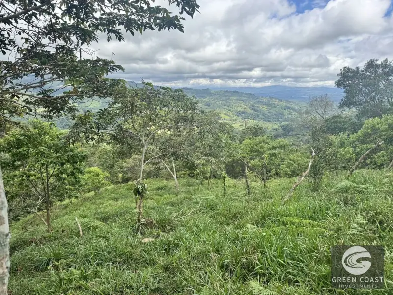 Chirripó View Mountain Farm: 3 Acres with Cabins & Coffee in Rivas — view 10, Rivas, Pérez Zeledón, Costa Rica