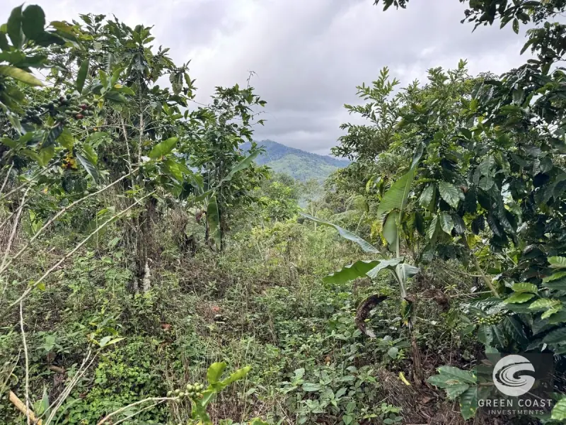Chirripó View Mountain Farm: 3 Acres with Cabins & Coffee in Rivas — view 13, Rivas, Pérez Zeledón, Costa Rica