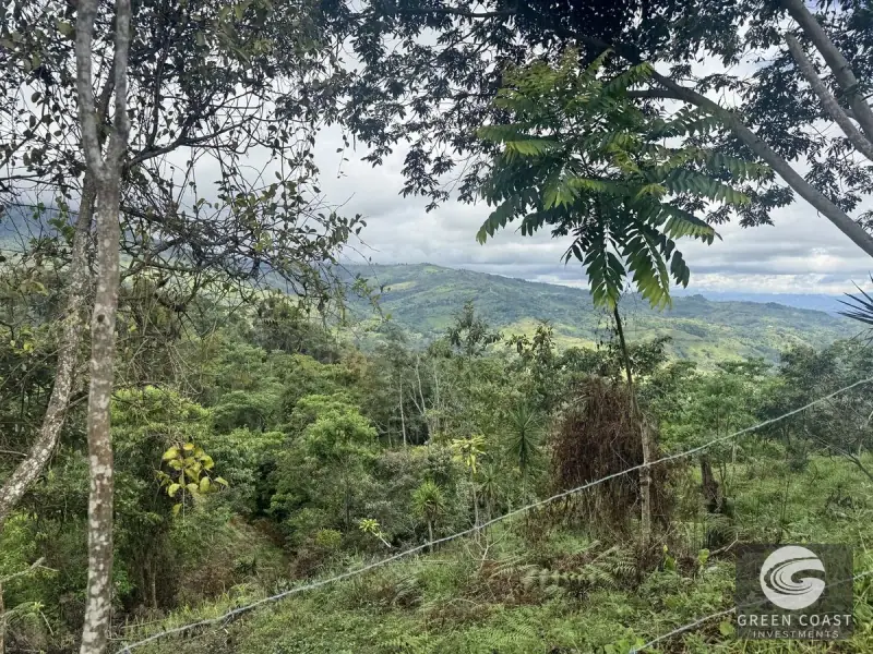 Chirripó View Mountain Farm: 3 Acres with Cabins & Coffee in Rivas — view 15, Rivas, Pérez Zeledón, Costa Rica