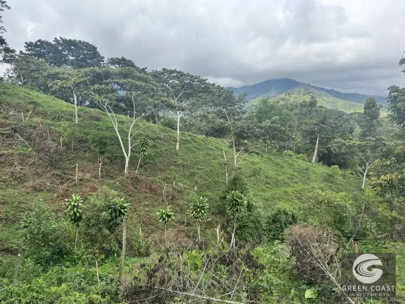 Chirripó View Mountain Farm: 3 Acres with Cabins & Coffee in Rivas — view 16, Rivas, Pérez Zeledón, Costa Rica