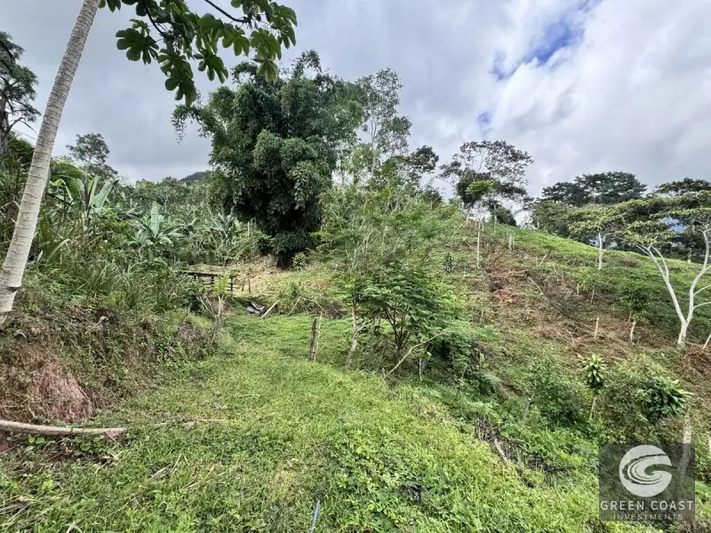 Chirripó View Mountain Farm: 3 Acres with Cabins & Coffee in Rivas — view 19, Rivas, Pérez Zeledón, Costa Rica