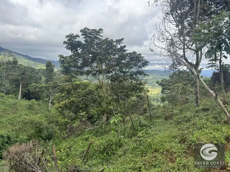 Chirripó View Mountain Farm: 3 Acres with Cabins & Coffee in Rivas — view 20, Rivas, Pérez Zeledón, Costa Rica