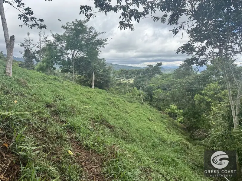 Chirripó View Mountain Farm: 3 Acres with Cabins & Coffee in Rivas — view 26, Rivas, Pérez Zeledón, Costa Rica