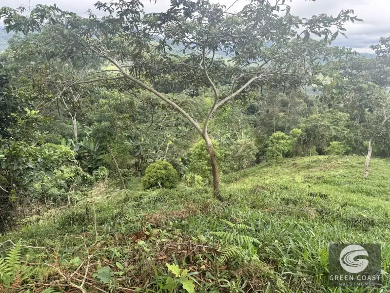 Chirripó View Mountain Farm: 3 Acres with Cabins & Coffee in Rivas — view 27, Rivas, Pérez Zeledón, Costa Rica