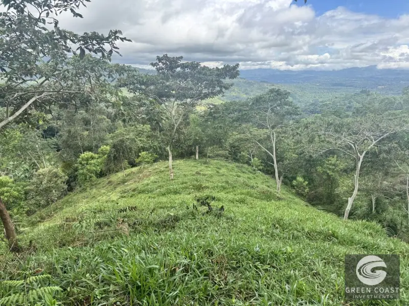 Chirripó View Mountain Farm: 3 Acres with Cabins & Coffee in Rivas — view 30, Rivas, Pérez Zeledón, Costa Rica
