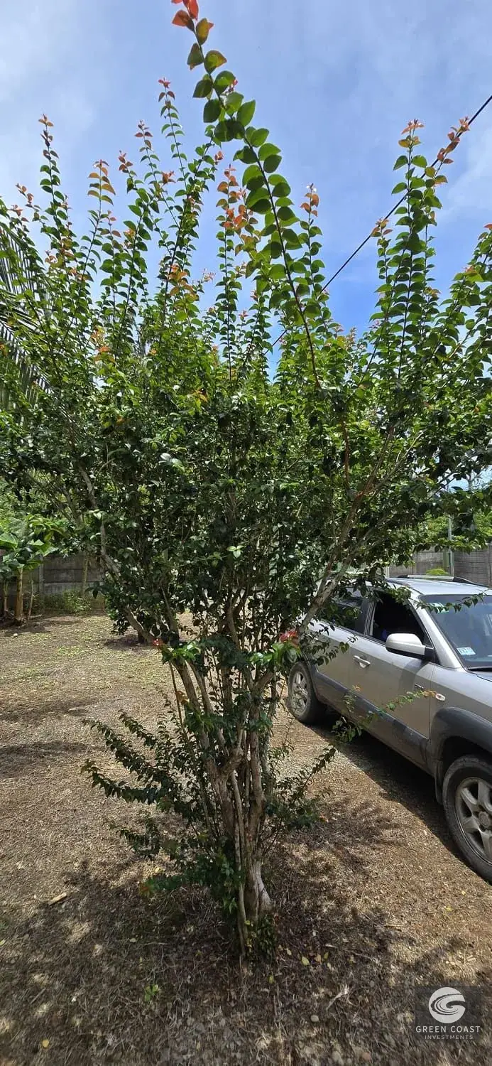 Modern Concrete Home on Spacious Lot Near Playa Linda | Prime Investment in Hatillo — view 25, Dominical, Costa Rica