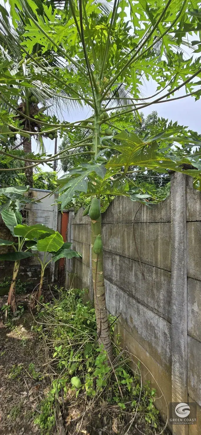 Modern Concrete Home on Spacious Lot Near Playa Linda | Prime Investment in Hatillo — view 27, Dominical, Costa Rica