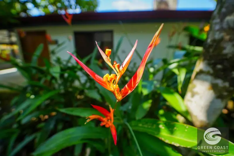 Dominicalito Bay Multi-Unit Surf Villas: Turnkey Income Property Steps from the Beach — view 8, Dominical, Costa Rica